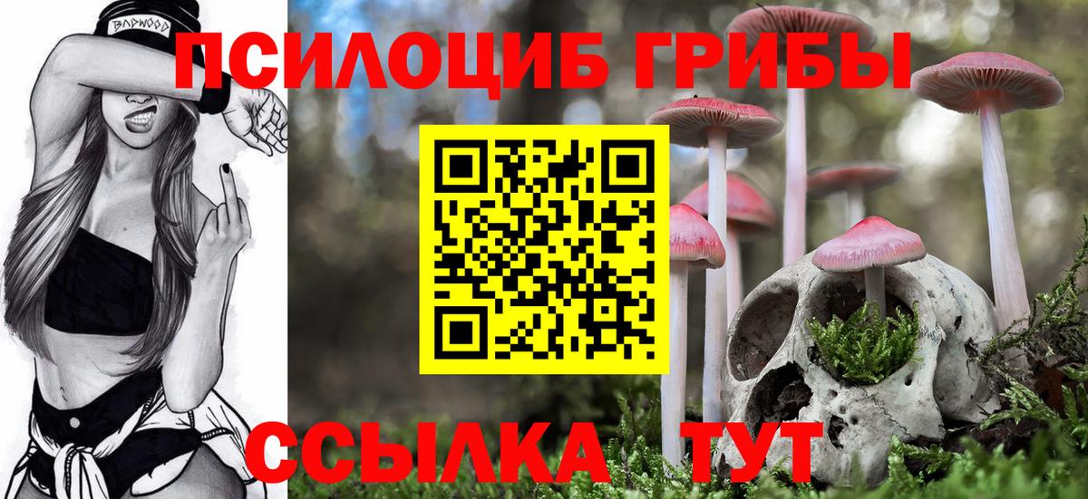 Псилоцибиновые грибы мицелий Медногорск